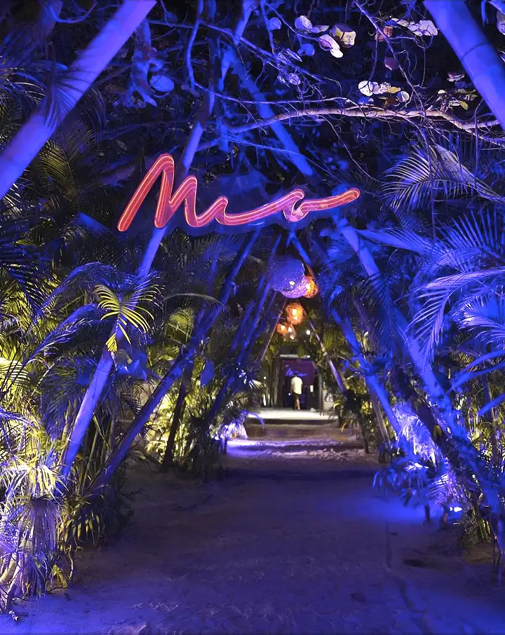 Mía Beach Club, Mia Tribe Tulum, Hotel en Tulum, La Riviera Maya